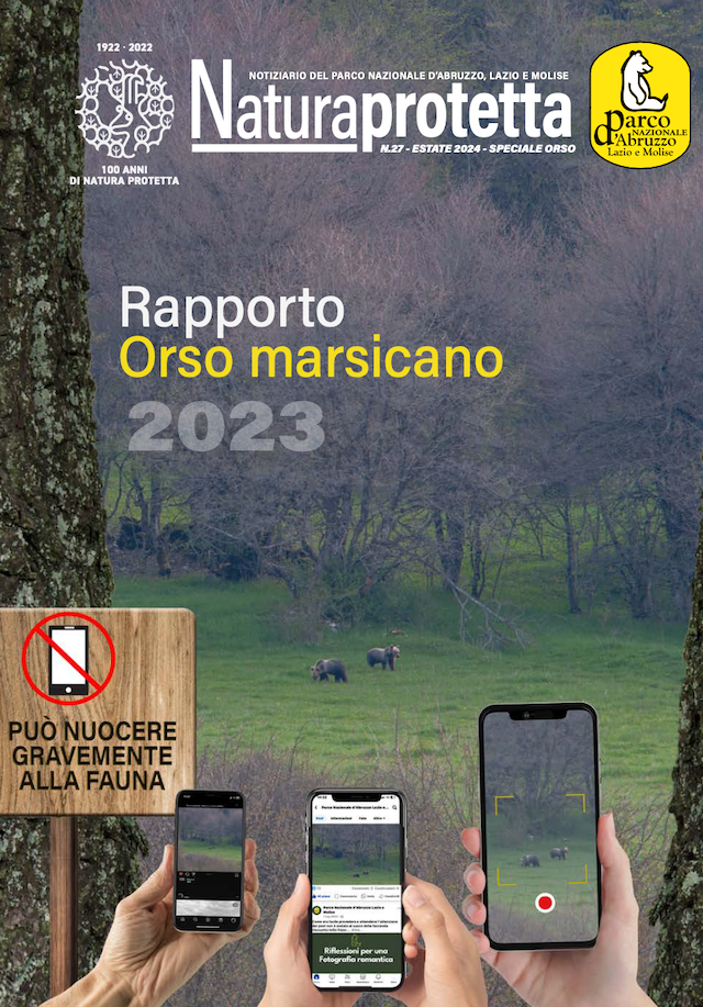 orso2023