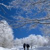 Ciaspolata Prati di Mezzo-- Passo dei monaci-- Prati di Mezzo