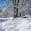 Ciaspolata Prati di Mezzo-- Passo dei monaci-- Prati di Mezzo